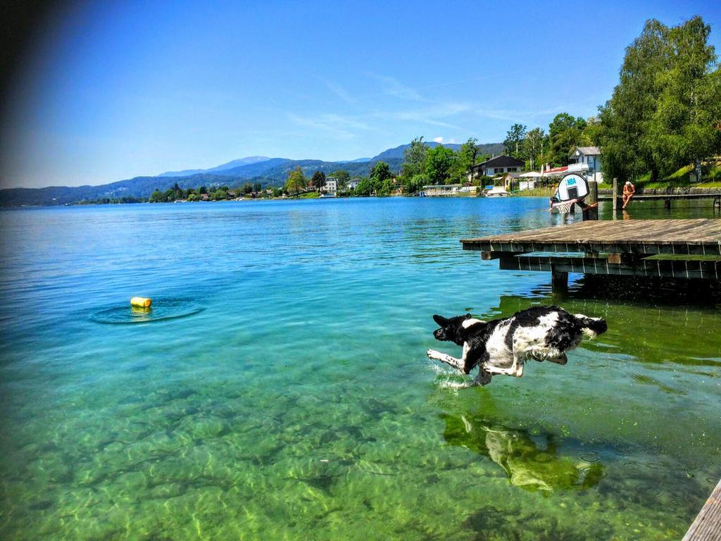 Appartements Allmaier Pörtschach am Wörthersee Εξωτερικό φωτογραφία